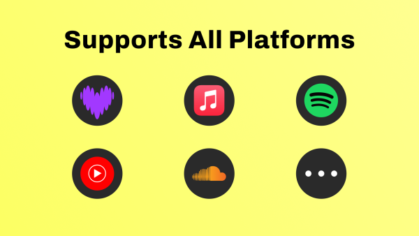 Album Cover Music Display Widget For Sale - Image 2