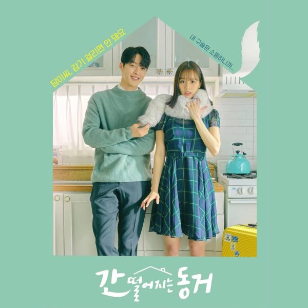 tvN DRAMA - [My Roommate is a Gumiho OST] Online Hot Sale